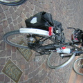 DSCN7568