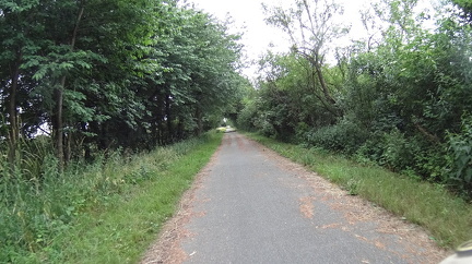 DSC00295