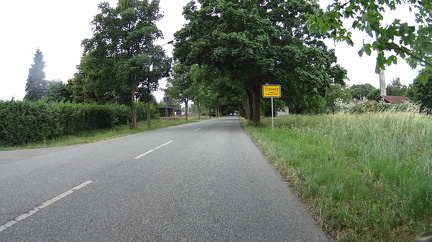DSC00299