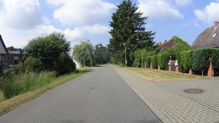 DSC00307