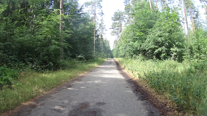 DSC00310.JPG