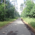 DSC00310