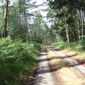 DSC00311