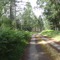 DSC00312