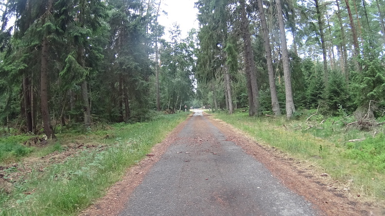 DSC00315.JPG