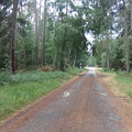 DSC00316