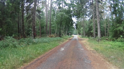 DSC00316