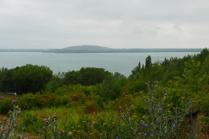 P1030002