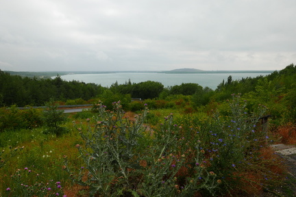 P1030001