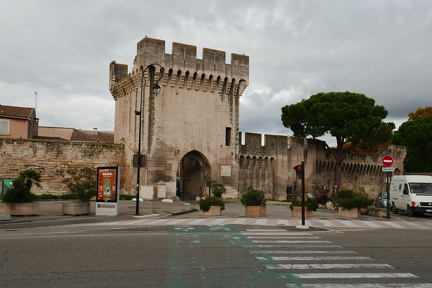 P1030051
