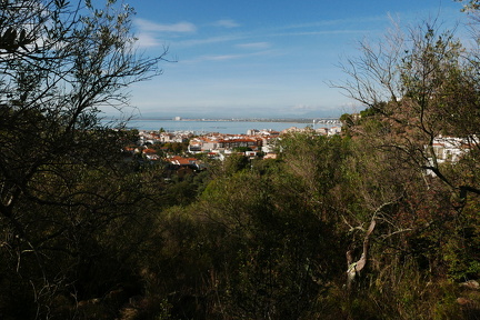 P1030171