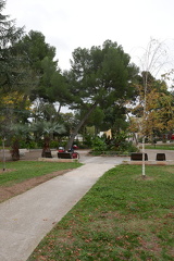 P1030387
