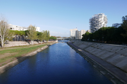 P1030423