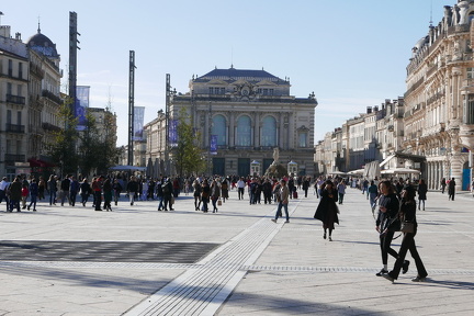 P1030441