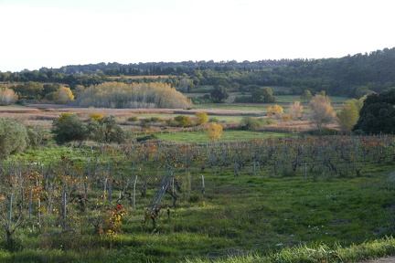 P1030450