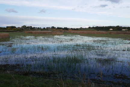 P1030451