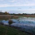 P1030452