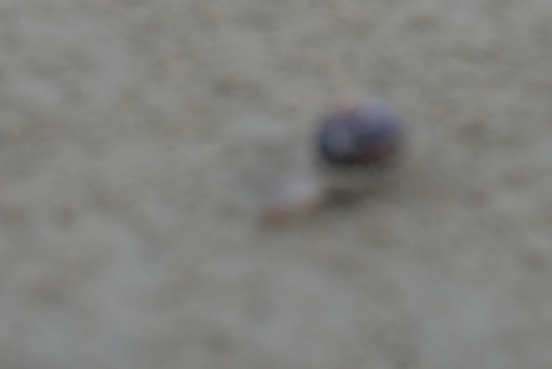 P1030454.JPG
