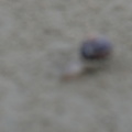 P1030454