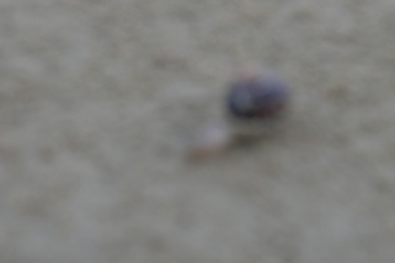 P1030454