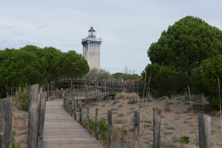 P1030457